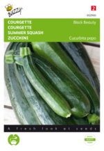 Courgette zaden