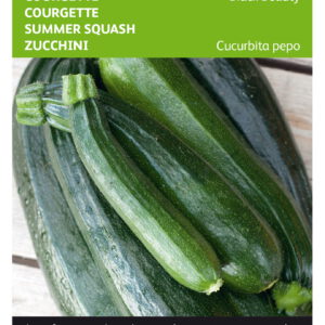 Courgette zaden