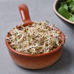 Microgreens alfalfa