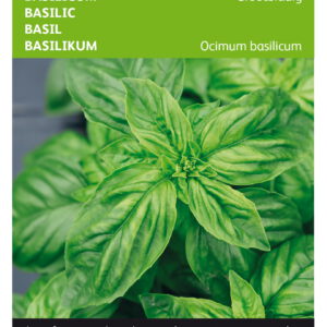 Productfoto Basilicum