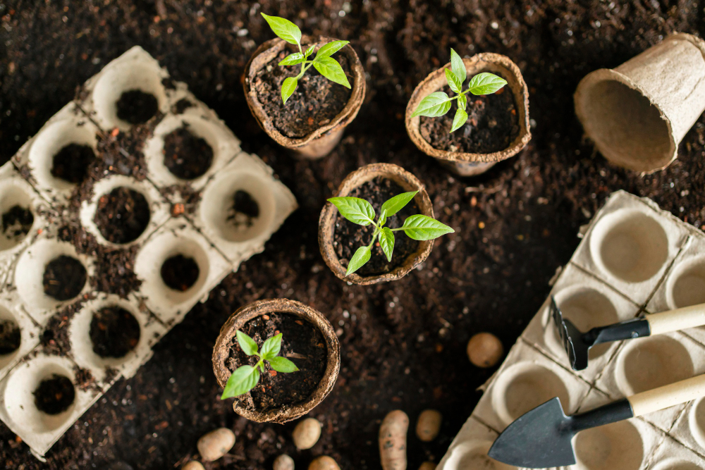 top-view-gardening-tools-flower-pot